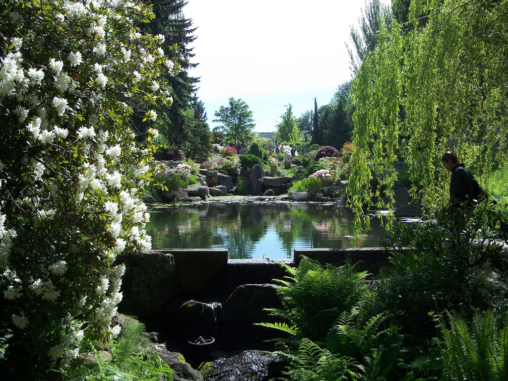 Kubota Garden