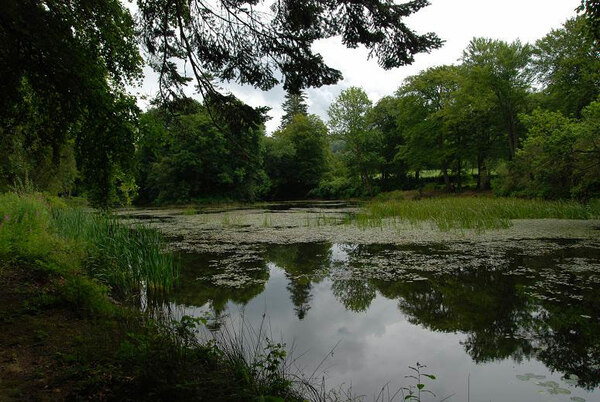 Lake, Llanerchaeron Estate