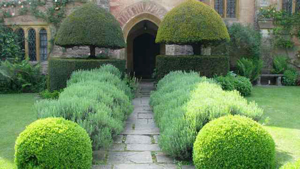 Path, Cothay Manor Garden
