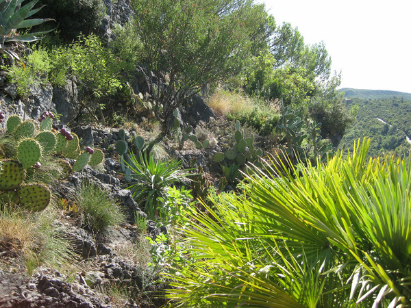 Jardin Méditerranéen de Roquebrun