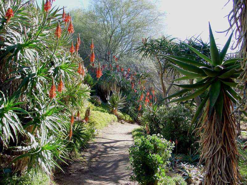 University Of California Riverside Botanic Garden