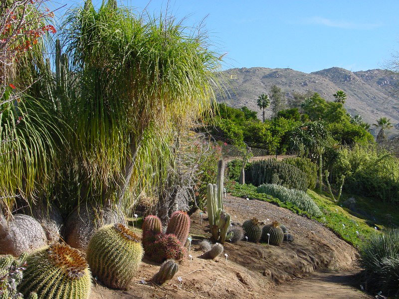 University Of California Riverside Botanic Garden