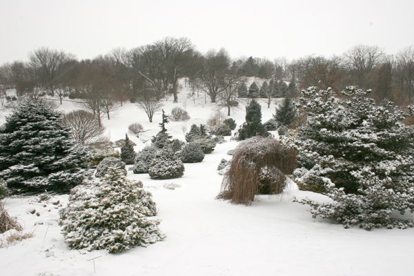 Bickelhaupt Arboretum, Winter