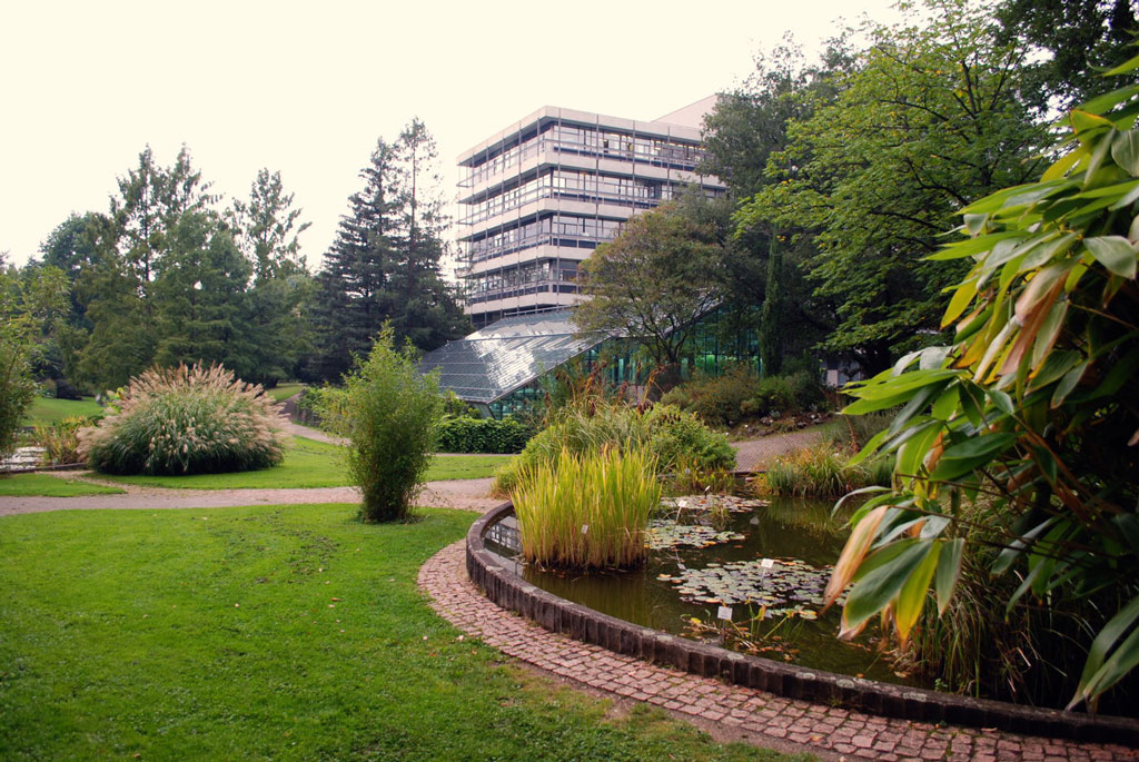 Freiburg Botanischer Garten der Universität