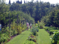 Jardin aux Plantes parfumées la Bouichère
