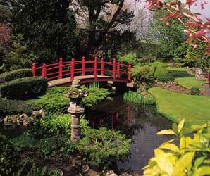 Japanese gardens ins