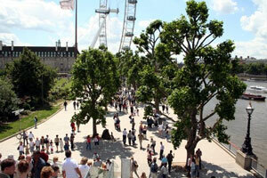 The south bank