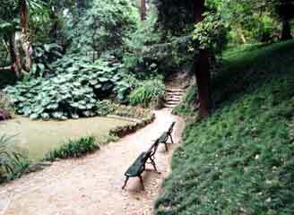 Lisbon botanical garden