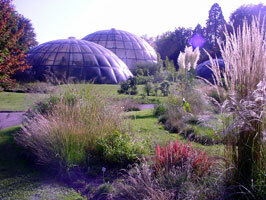 Zurich botanical gardens