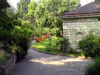 Prague botanical garden