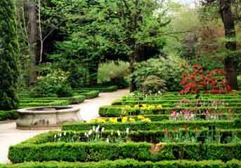 Madrid botanical garden