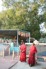 Sarnathpark1