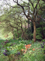 Moors Meadow Gardens & Nursery