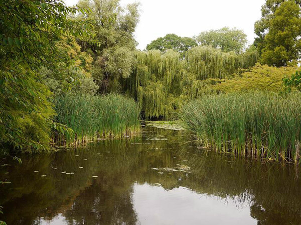 Cambridge University Botanic Garden, 2010