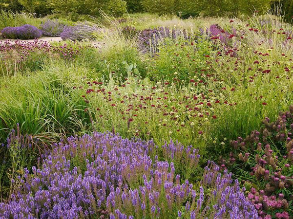 Scampston Walled Garden, July