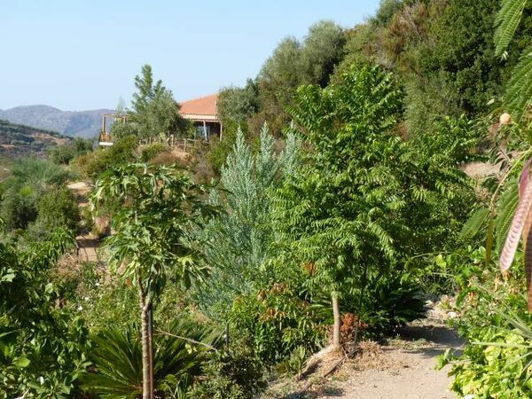 Botanical Garden of Crete