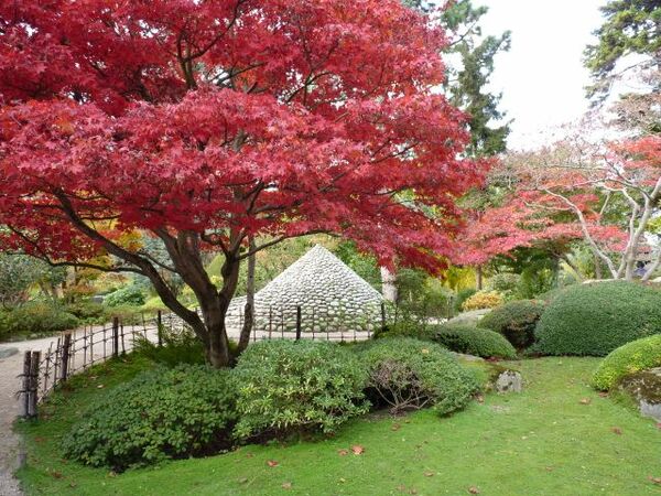 Jardin Albert Kahn, Autumn
